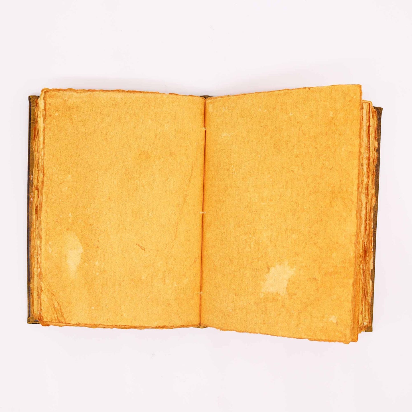 Libro Bronceado Cafe - Buhos