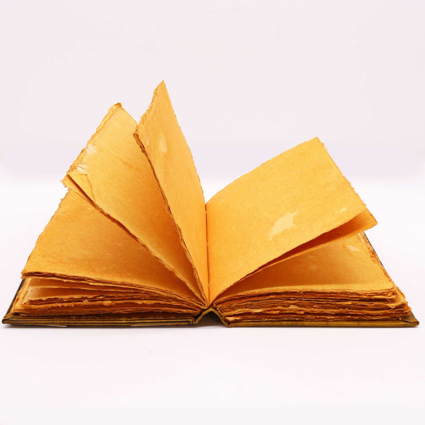 Libro Bronceado Cafe - Buhos